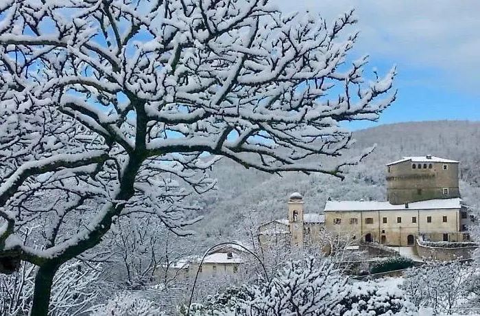 Arenarius & Station touristique
